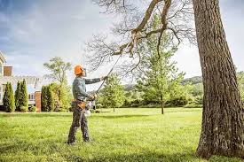 Best Seasonal Cleanup (Spring/Fall)  in Lakeland North, WA