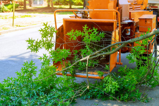 Best Weed Control  in Lakeland North, WA